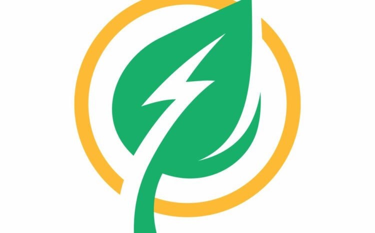 A green leaf with a lightning bolt on it available for sale.